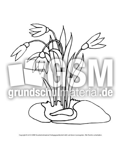 Ausmalbild-Schneeglöckchen-2.pdf